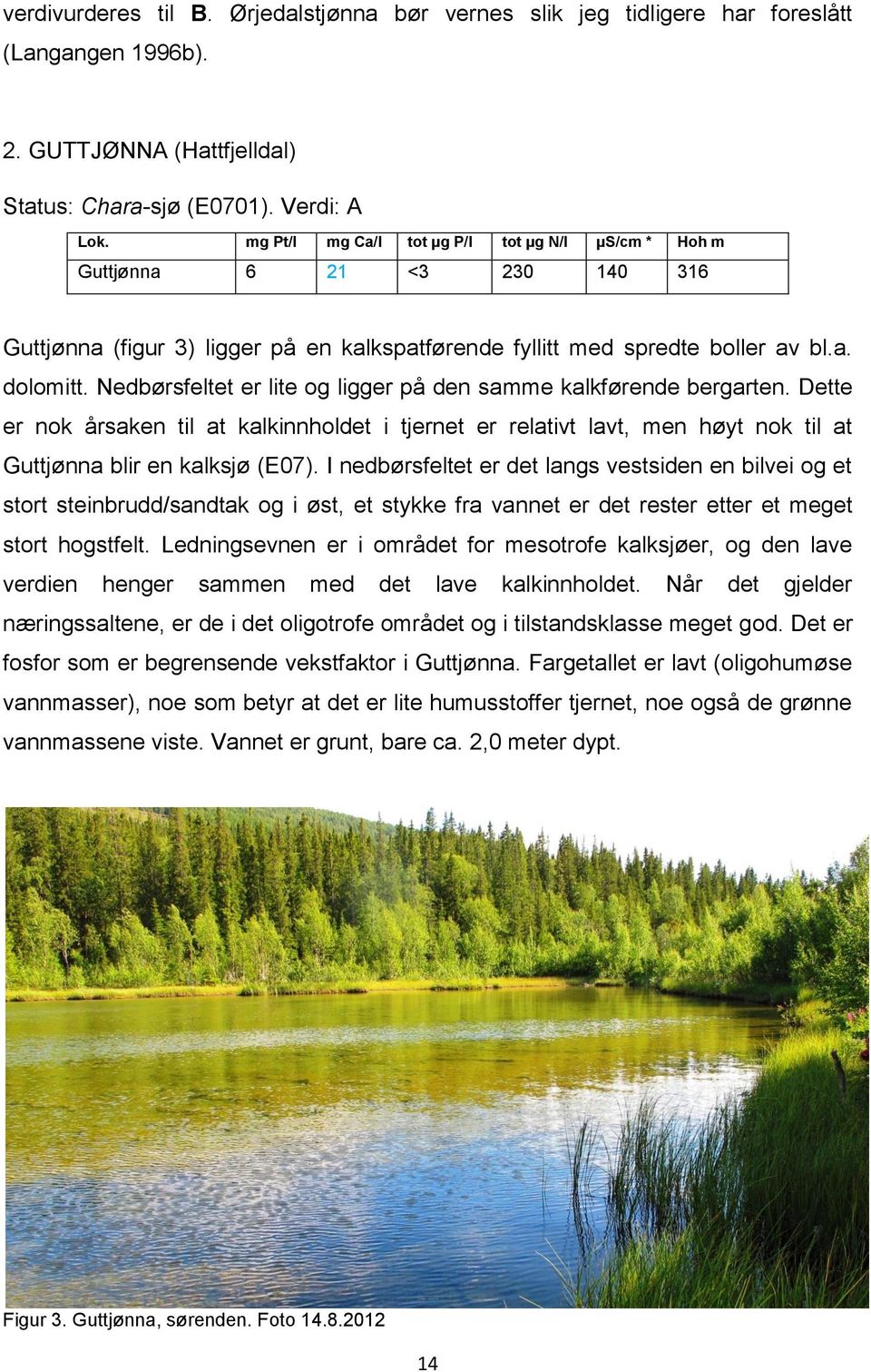 Nedbørsfeltet er lite og ligger på den samme kalkførende bergarten. Dette er nok årsaken til at kalkinnholdet i tjernet er relativt lavt, men høyt nok til at Guttjønna blir en kalksjø (E07).