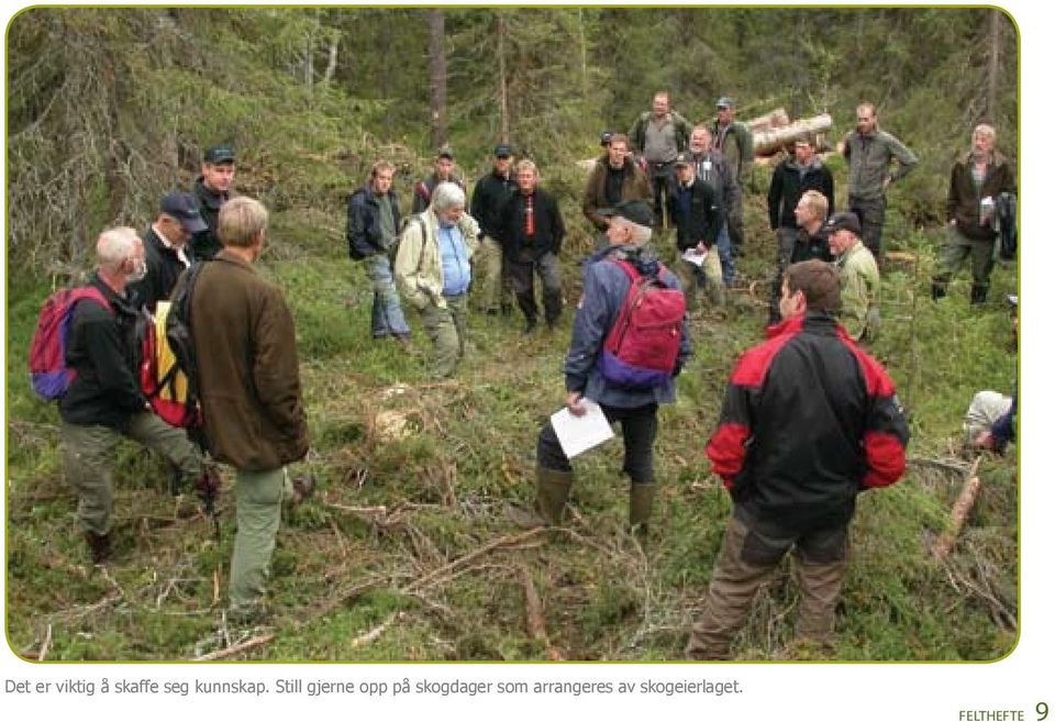 Still gjerne opp på