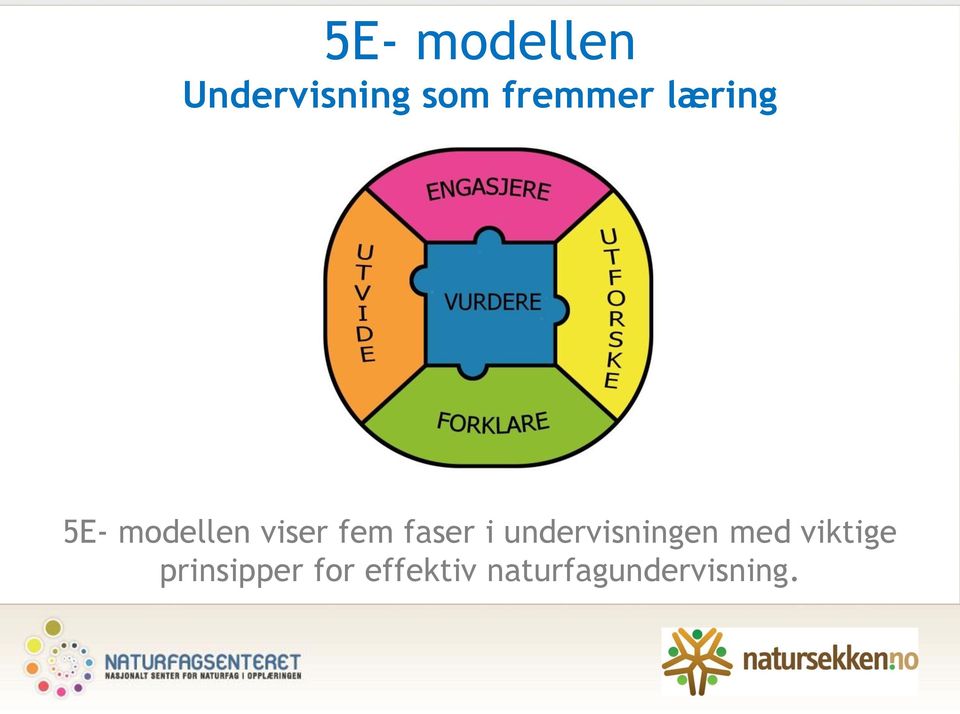 fem faser i undervisningen med