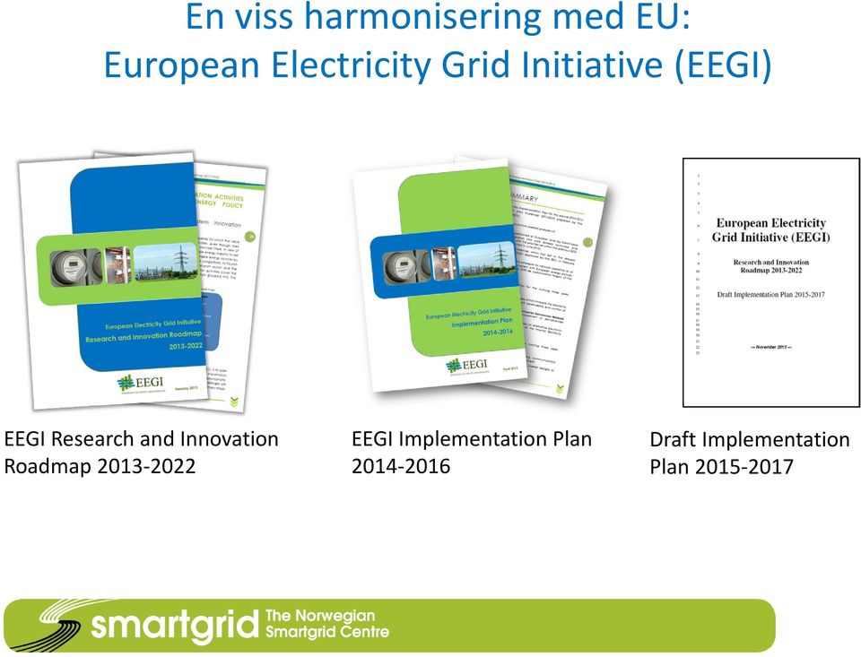 Research and Innovation Roadmap 2013-2022 EEGI