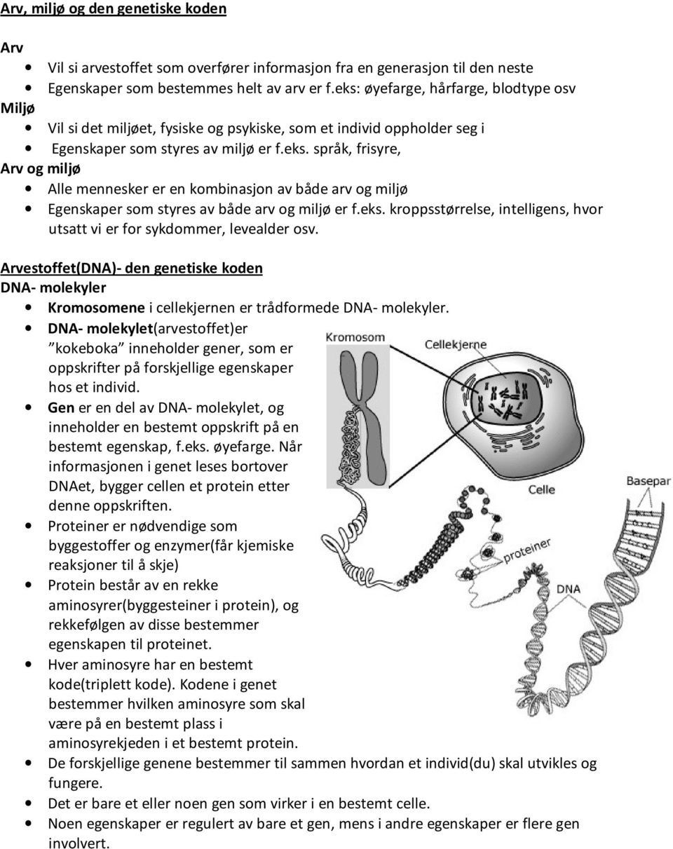 eks. kroppsstørrelse, intelligens, hvor utsatt vi er for sykdommer, levealder osv. Arvestoffet(DNA)- den genetiske koden DNA- molekyler Kromosomene i cellekjernen er trådformede DNA- molekyler.