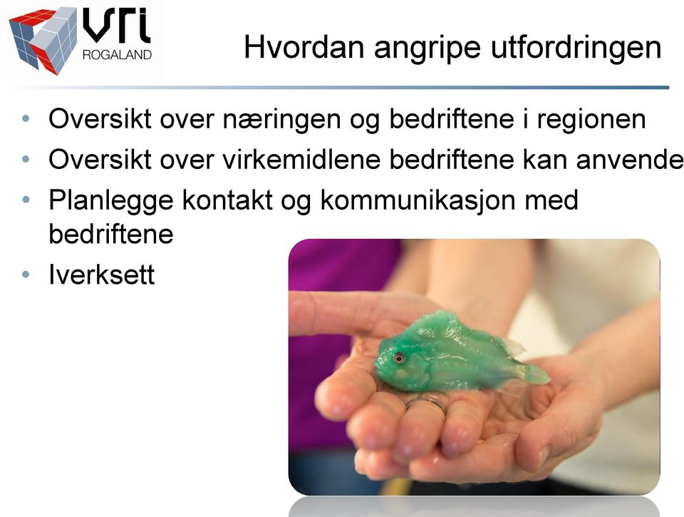 over virkemidlene bedriftene kan anvende