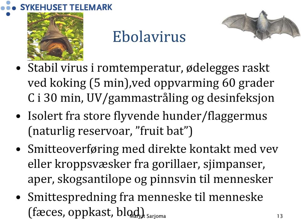 bat ) Smitteoverføring med direkte kontakt med vev eller kroppsvæsker fra gorillaer, sjimpanser, aper,