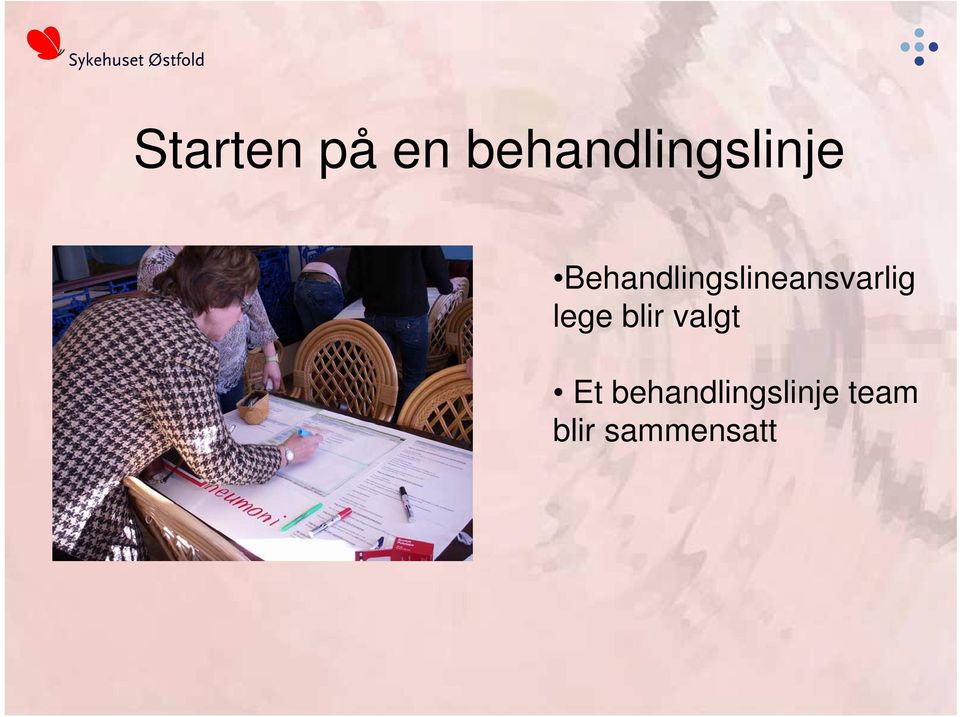 Behandlingslineansvarlig