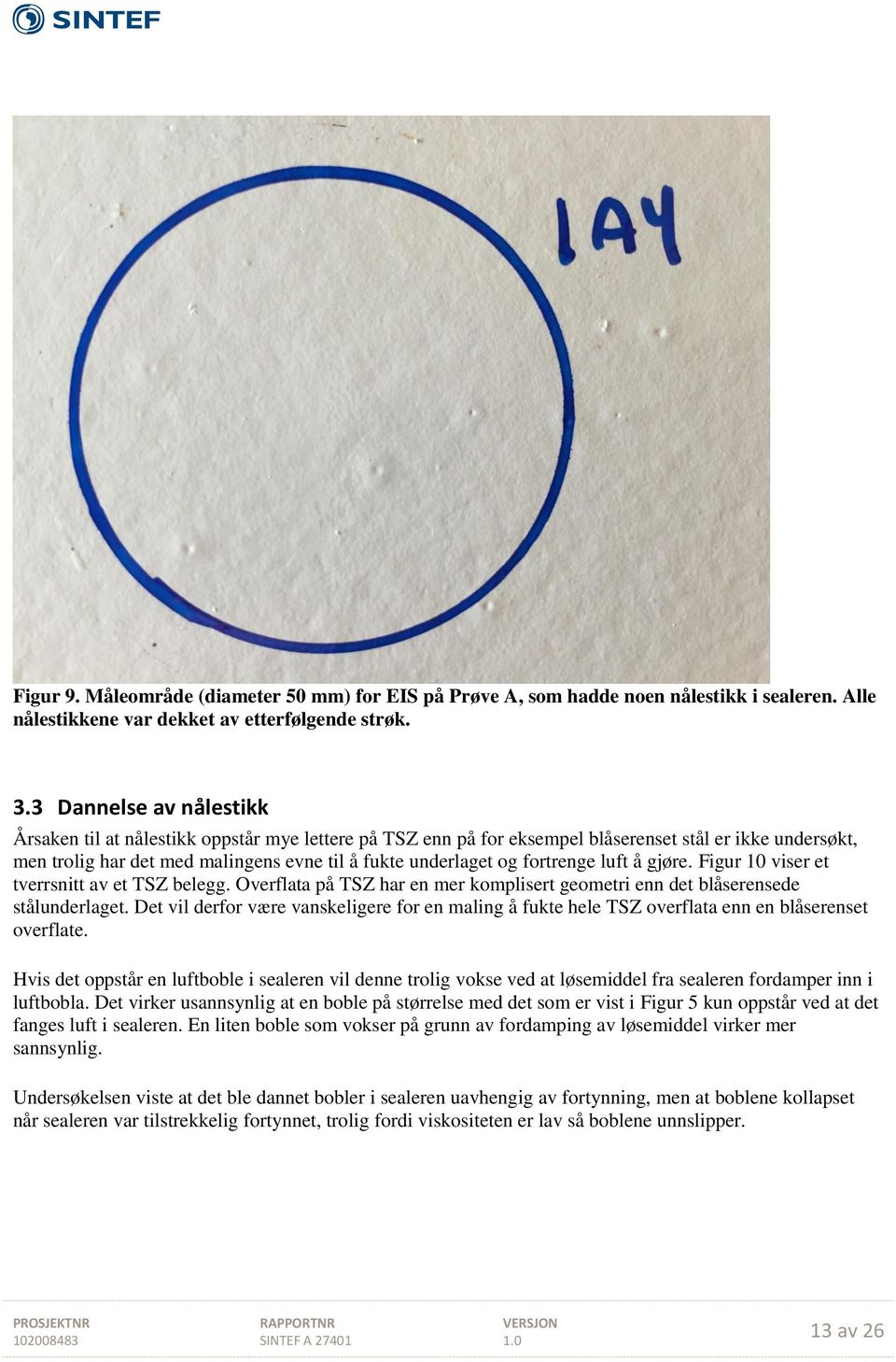 fortrenge luft å gjøre. Figur 10 viser et tverrsnitt av et TSZ belegg. Overflata på TSZ har en mer komplisert geometri enn det blåserensede stålunderlaget.