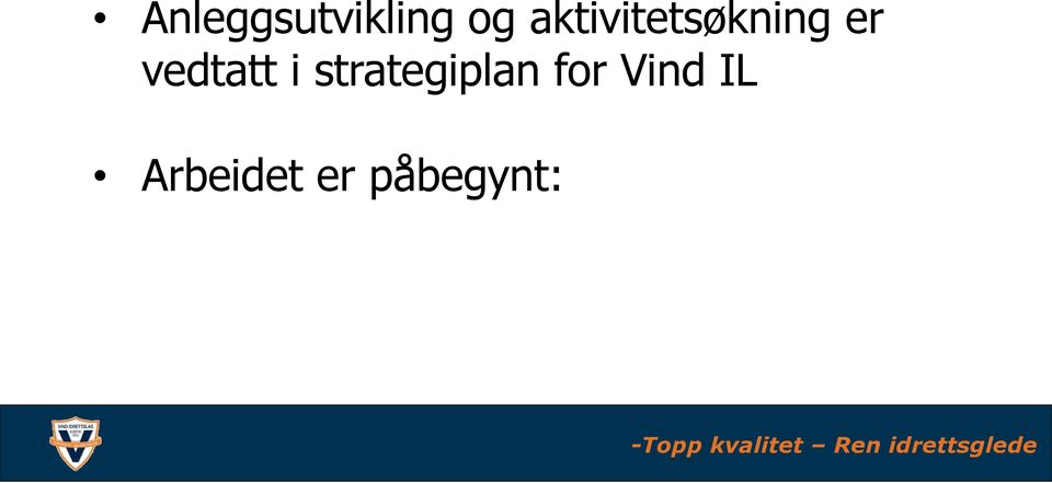 vedtatt i strategiplan