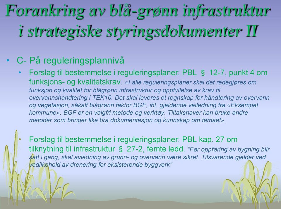 Det skal leveres et regnskap for håndtering av overvann og vegetasjon, såkalt blågrønn faktor BGF, iht. gjeldende veiledning fra «Eksempel kommune». BGF er en valgfri metode og verktøy.