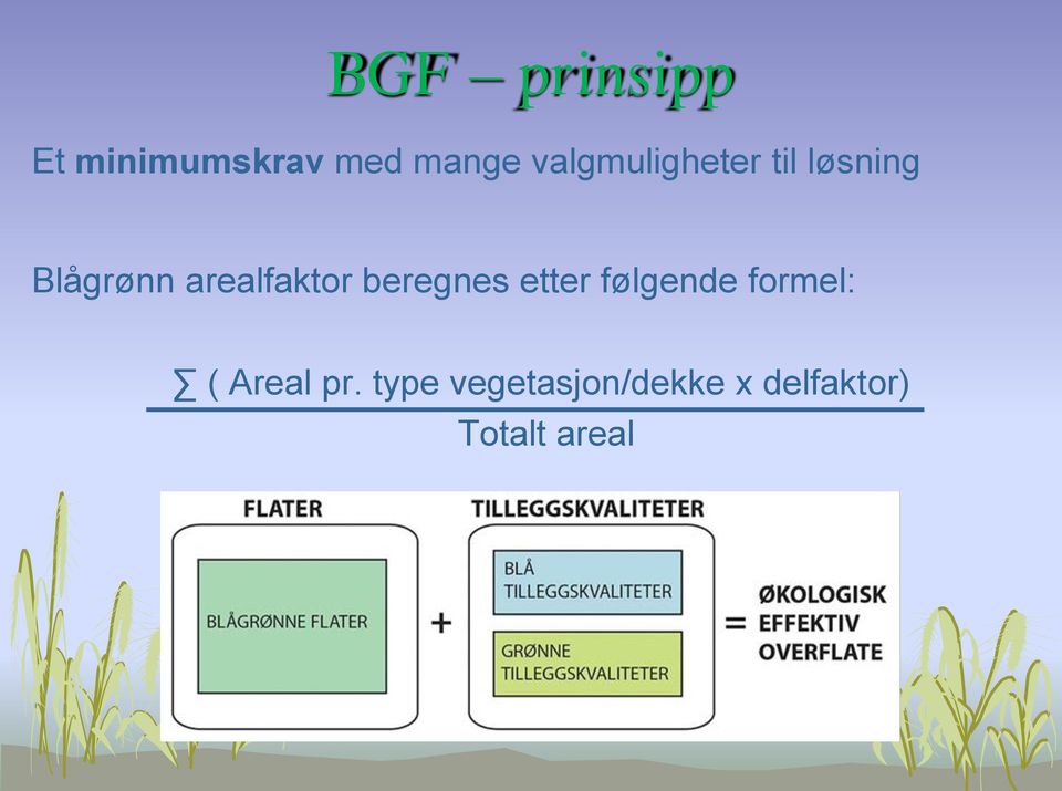 arealfaktor beregnes etter følgende formel: