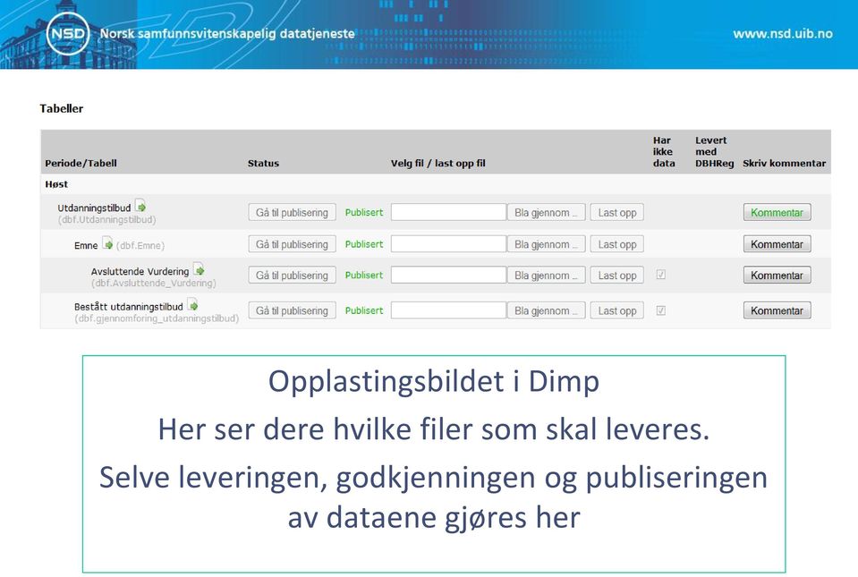 Selve leveringen, godkjenningen og