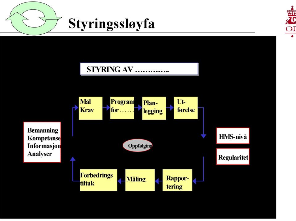 Utførelse Bemanning Kompetanse Informasjon Analyser