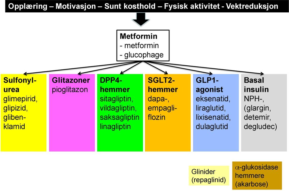 vildagliptin, saksagliptin linagliptin SGLT2- hemmer dapa-, empagliflozin GLP1- agonist eksenatid,