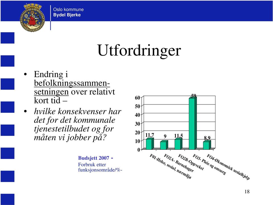 Budsjett 2007 - Forbruk etter funksjonsområde/%- 60 50 40 30 20 10 0 11,7 9 11,5 59