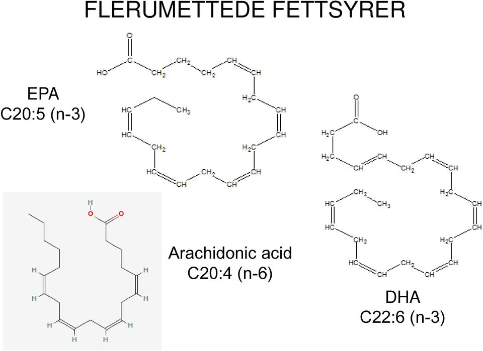 (n-3) Arachidonic