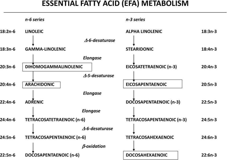 20:5n-3 Elongase 22:4n-6 ADRENIC DOCOSAPENTAENOIC (n-3) 22:5n-3 Elongase 24:4n-6 TETRACOSATETRAENOIC (n-6) TETRACOSAPENTAENOIC (n-3)