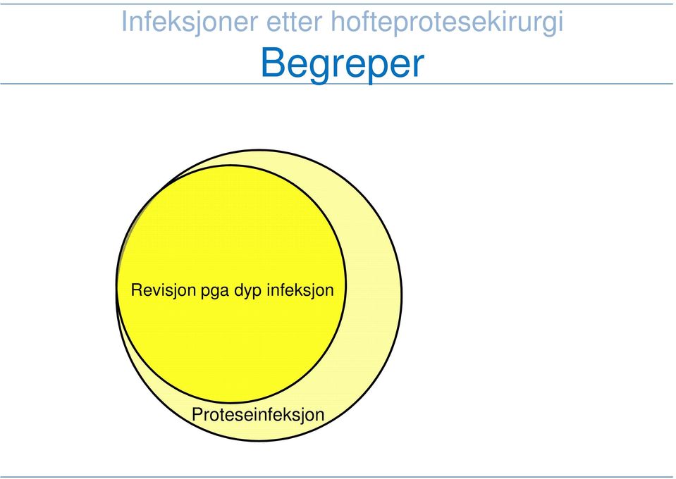 Begreper Revisjon pga