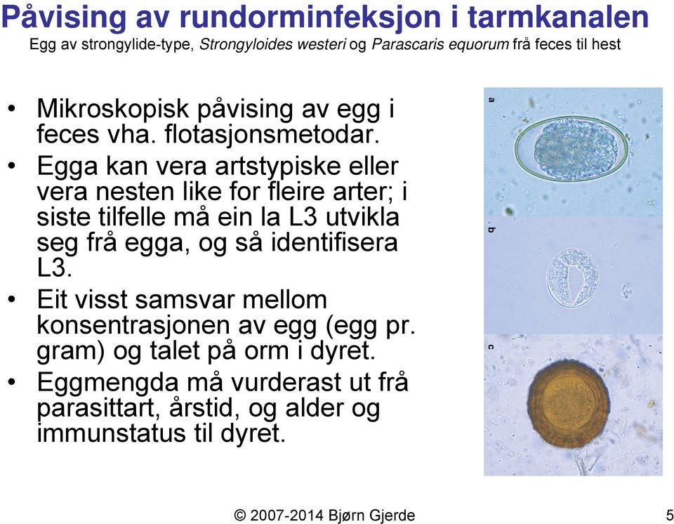 Egga kan vera artstypiske eller vera nesten like for fleire arter; i siste tilfelle må ein la L3 utvikla seg frå egga, og så