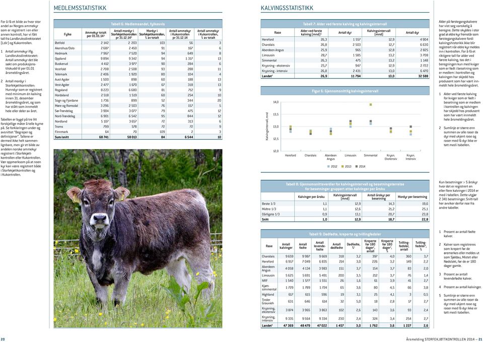 2 mordyr i Storfekjøttkontrollen: Hunndyr som er registrert med minimum én kalving innen 31. desember årsmeldingsåret, og som har stått som innmeldt hele eller deler av året.
