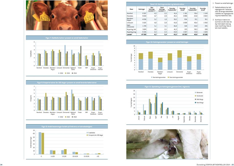 Kjøttsimmental 1 729 5,1 3,1 46,8 54 44, 495 lett 3 874 3,6 2,1 41,3 573 39,3 599 tung 9 335 4,3 2,3 44, 1 657 41,8 1 62 Landet 3 47 369 4,2 2,4 43,2 1 383 4,8 1 188 1 Prosent av antall kalvinger.