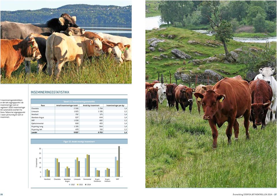 Tabell 11: Insemineringsstatistikk Rase insemineringer totalt dyr inseminert Insemineringer per dyr Charolais 2 566 1 794 1,4 Limousin 1 825 1 196 1,5 Hereford 797 575 1,4