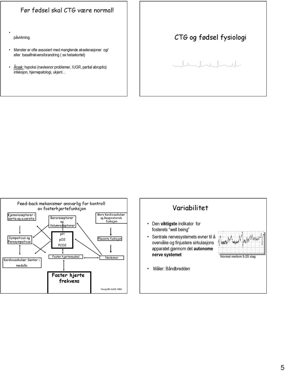 infeksjon, hjernepatologi, ukjent Feed-back mekanismer ansvarlig for kontroll av fosterhjertefunksjon Kjemoreseptorer i aorta og a.