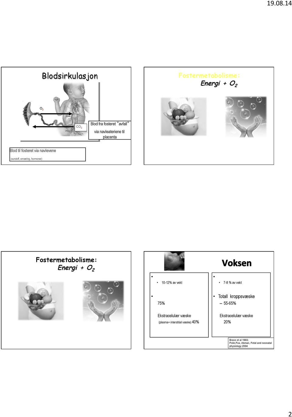 Blod til fosteret via navlevene (surstoff, ernæring, hormoner) Fostermetabolisme: Energi + O 2 Blodvolum(termin):