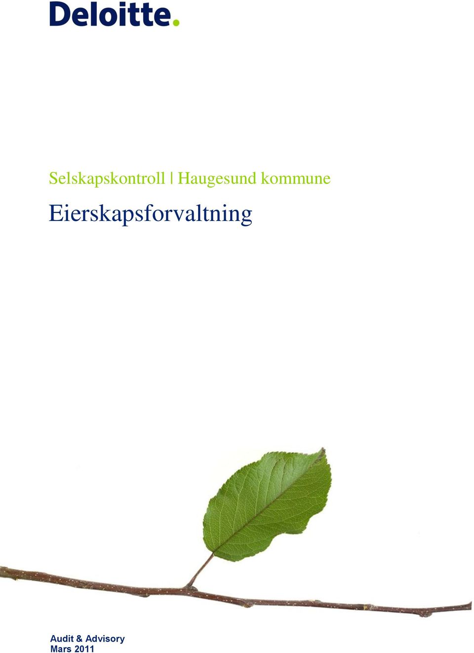 Eierskapsforvaltning