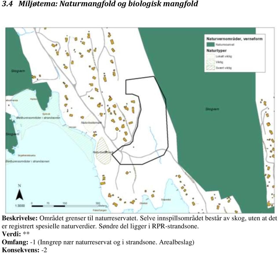 Selve innspillsområdet består av skog, uten at det er registrert spesielle