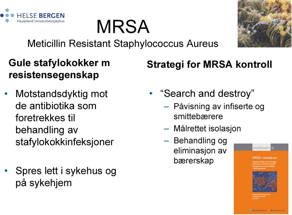 stafylokokkinfeksjoner Spres lett i sykehus og på sykehjem Strategi for MRSA kontroll