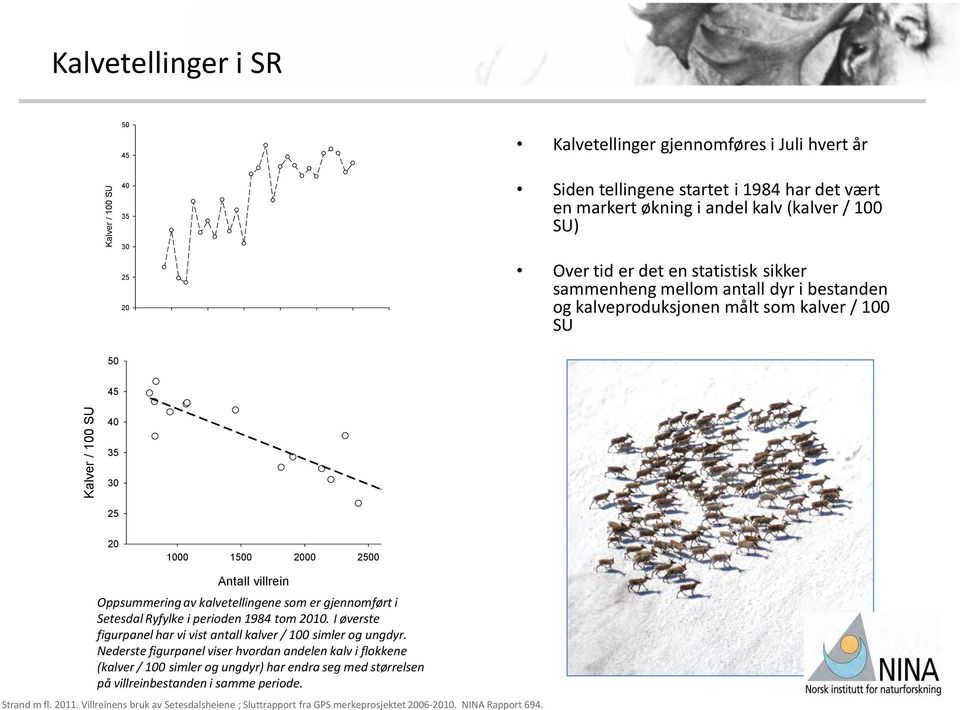 100 SU 40 35 30 25 20 1000 1500 2000 2500 Antall villrein Oppsummering av kalvetellingene som er gjennomført i Setesdal Ryfylke i perioden 1984 tom 2010.