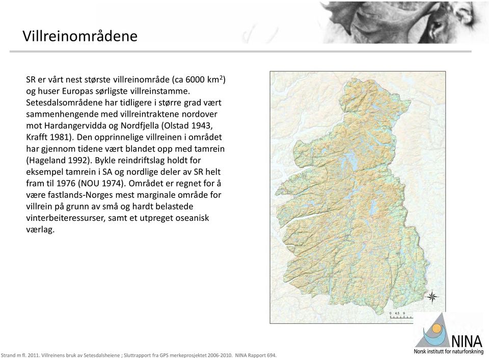 Den opprinnelige villreinen i området har gjennom tidene vært blandet opp med tamrein (Hageland 1992).