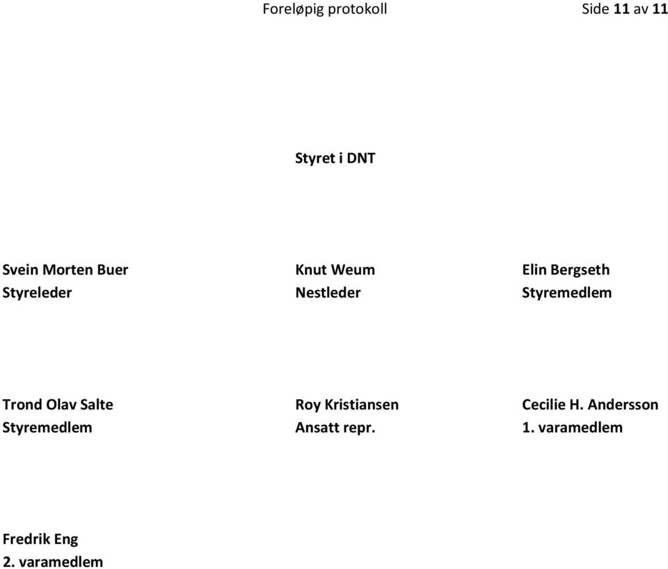 Styremedlem Trond Olav Salte Roy Kristiansen Cecilie H.