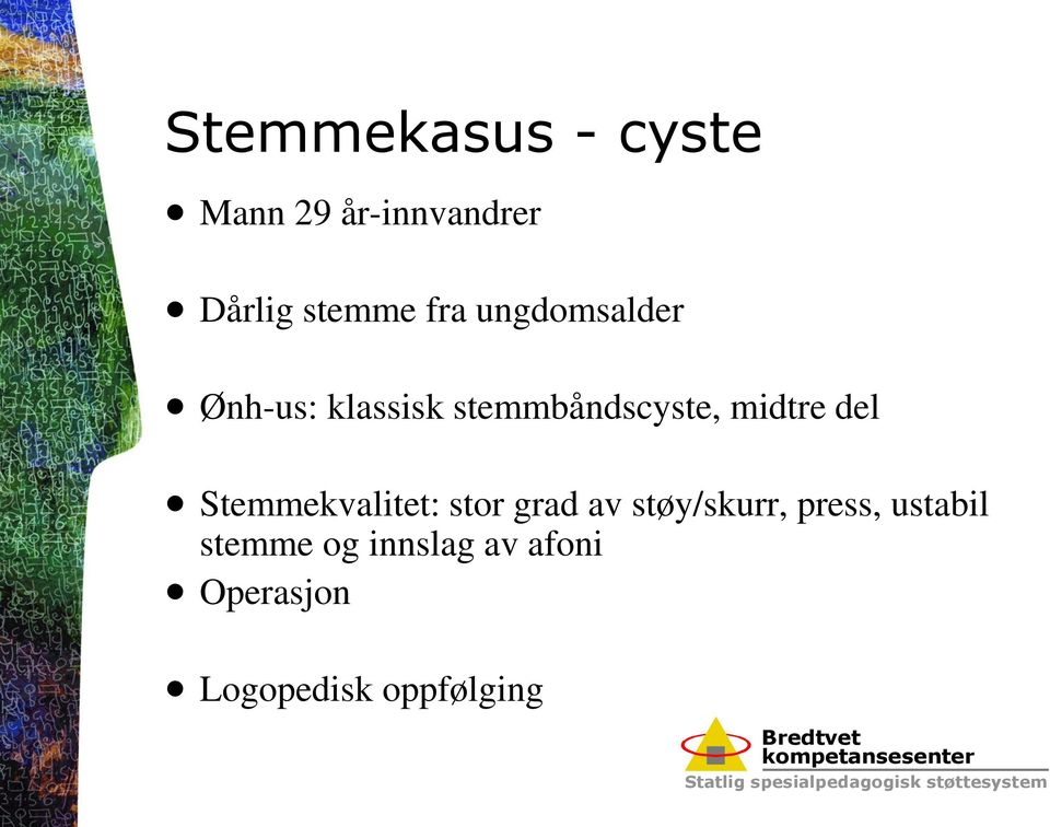 del Stemmekvalitet: stor grad av støy/skurr, press,