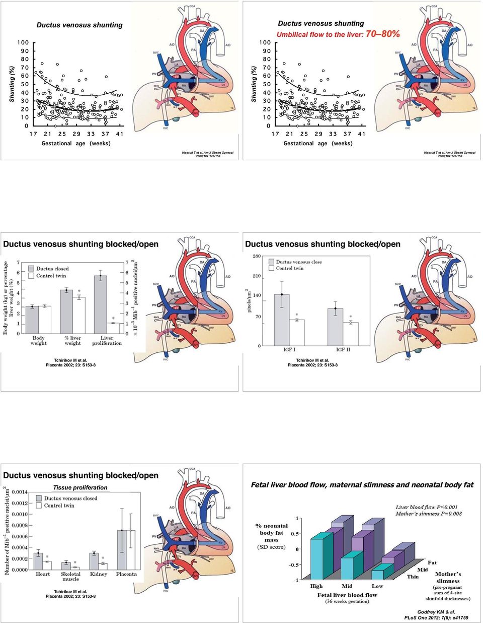 shunting blocked/open Tchirikov M et al. Placenta 22; 23: S153-8 Tchirikov M et al.