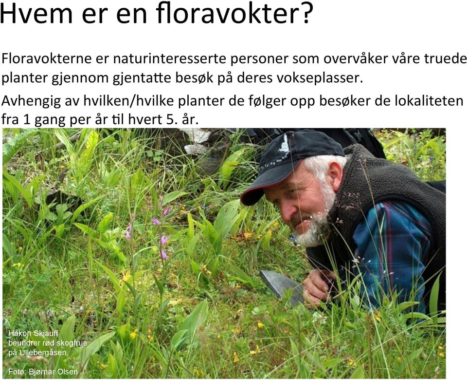 gjennom gjentade besøk på deres vokseplasser.