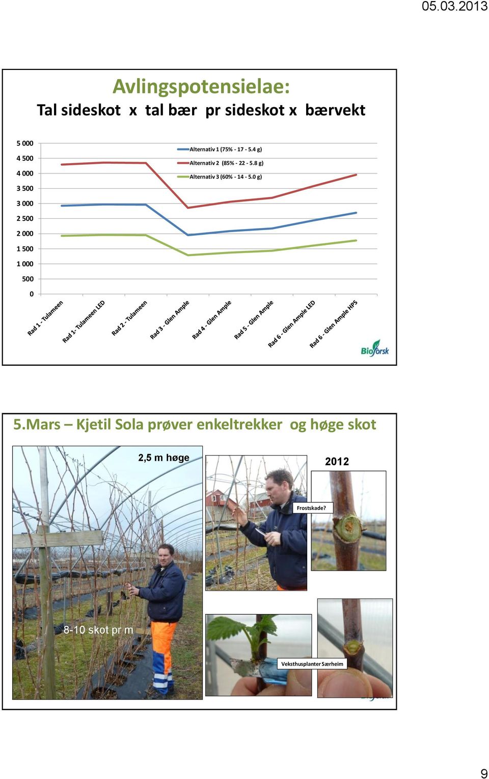 4 g) Alternativ 2 (85% - 22-5.8 g) Alternativ 3 (60% - 14-5.0 g) 5.