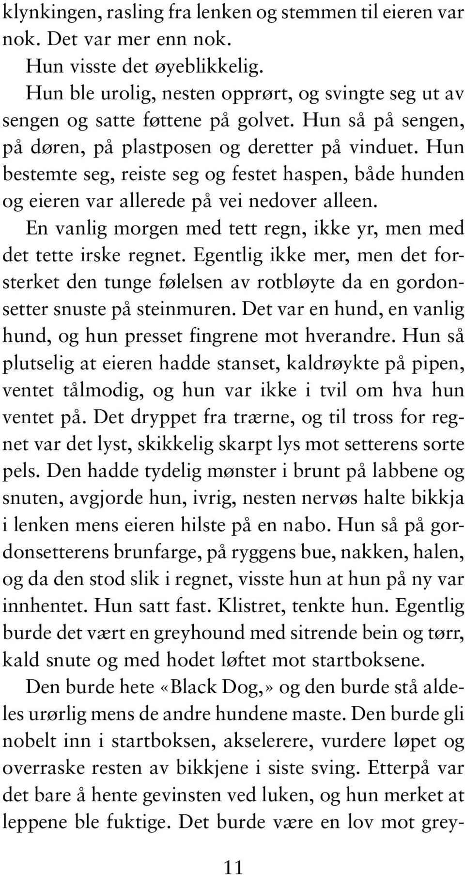 En vanlig morgen med tett regn, ikke yr, men med det tette irske regnet. Egentlig ikke mer, men det forsterket den tunge følelsen av rotbløyte da en gordonsetter snuste på steinmuren.