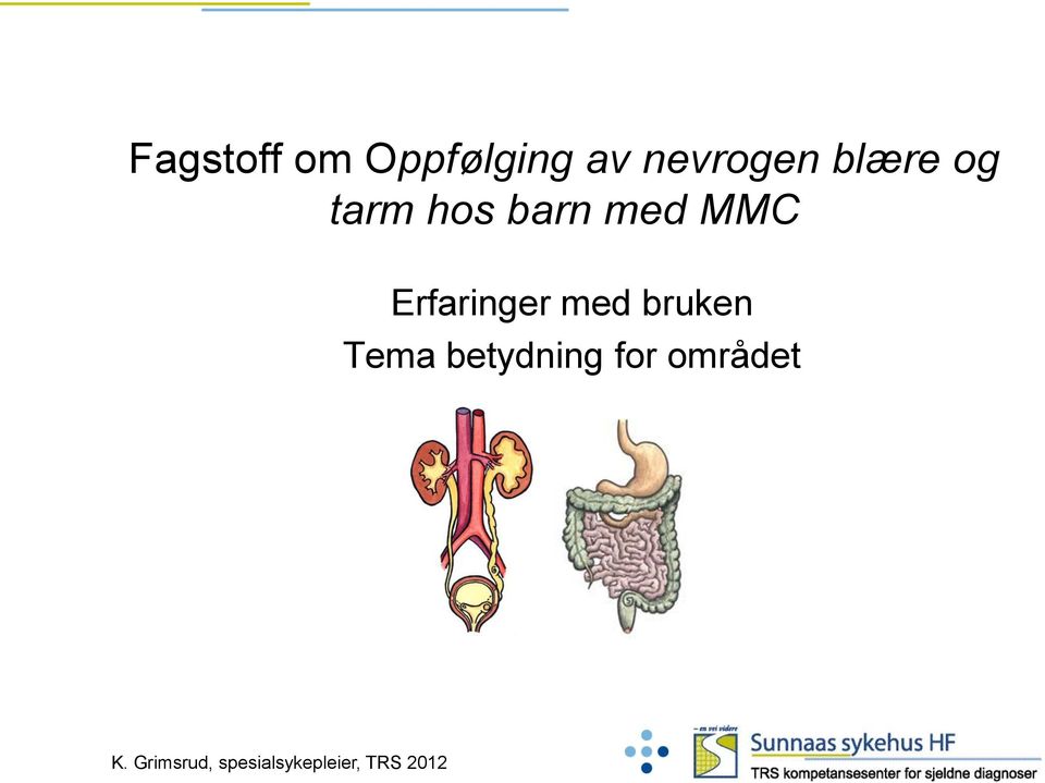 Erfaringer med bruken Tema betydning