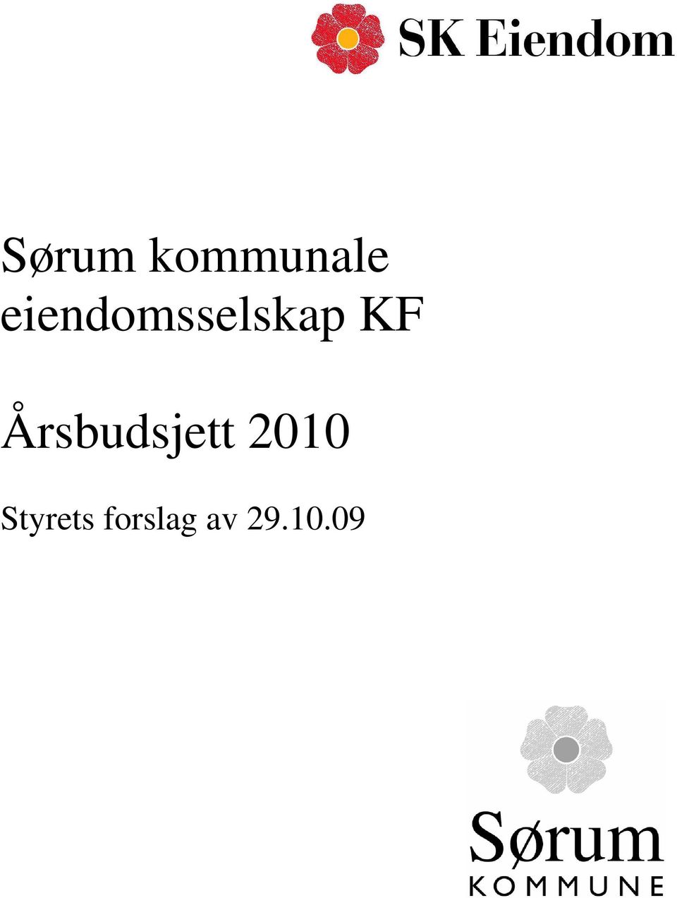 Årsbudsjett 2010