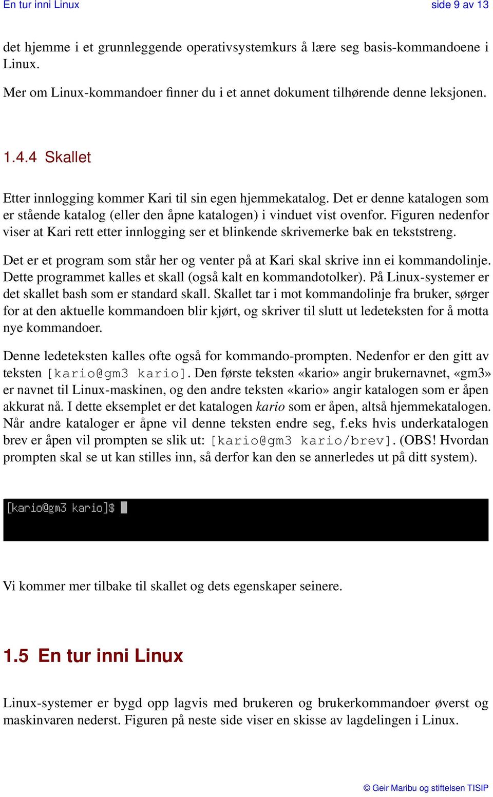 Figuren nedenfor viser at Kari rett etter innlogging ser et blinkende skrivemerke bak en tekststreng. Det er et program som står her og venter på at Kari skal skrive inn ei kommandolinje.