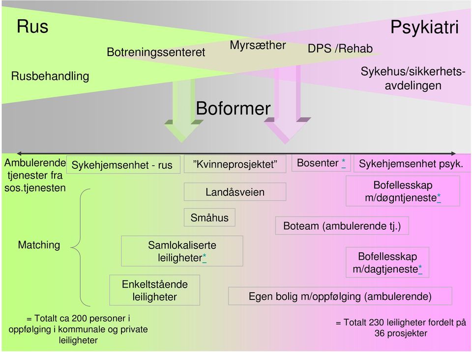 Bofellesskap m/døgntjeneste* Matching Småhus Samlokaliserte leiligheter* Enkeltstående leiligheter Boteam (ambulerende tj.