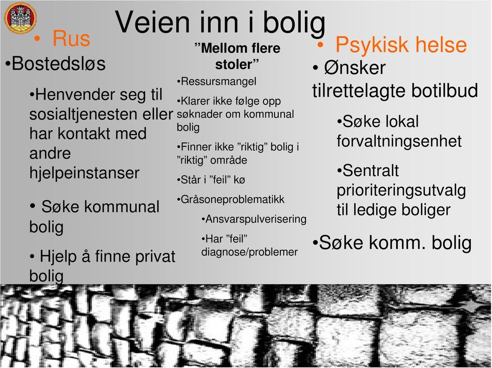 bolig Finner ikke riktig bolig i riktig område Står i feil kø Gråsoneproblematikk Ansvarspulverisering Har feil diagnose/problemer