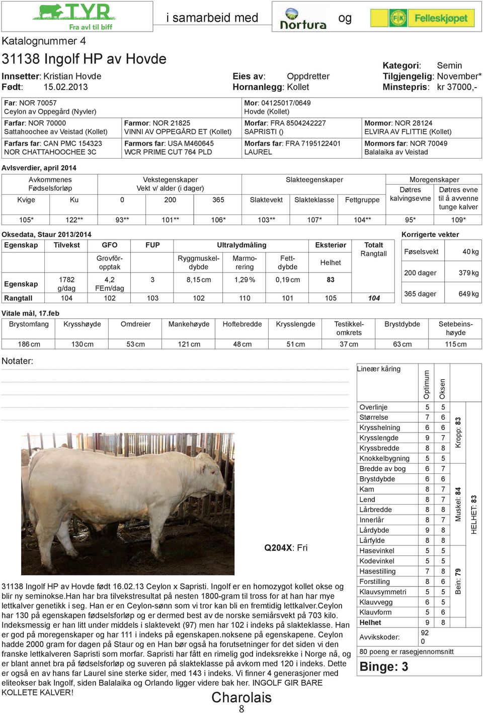 (Kollet) Farmors far: USA M46645 WCR PRIME CUT 764 PLD Mor: 412517/649 Hovde (Kollet) Morfar: FRA 854242227 SAPRISTI () Morfars far: FRA 719512241 LAUREL Mormor: NOR 28124 ELVIRA AV FLITTIE (Kollet)