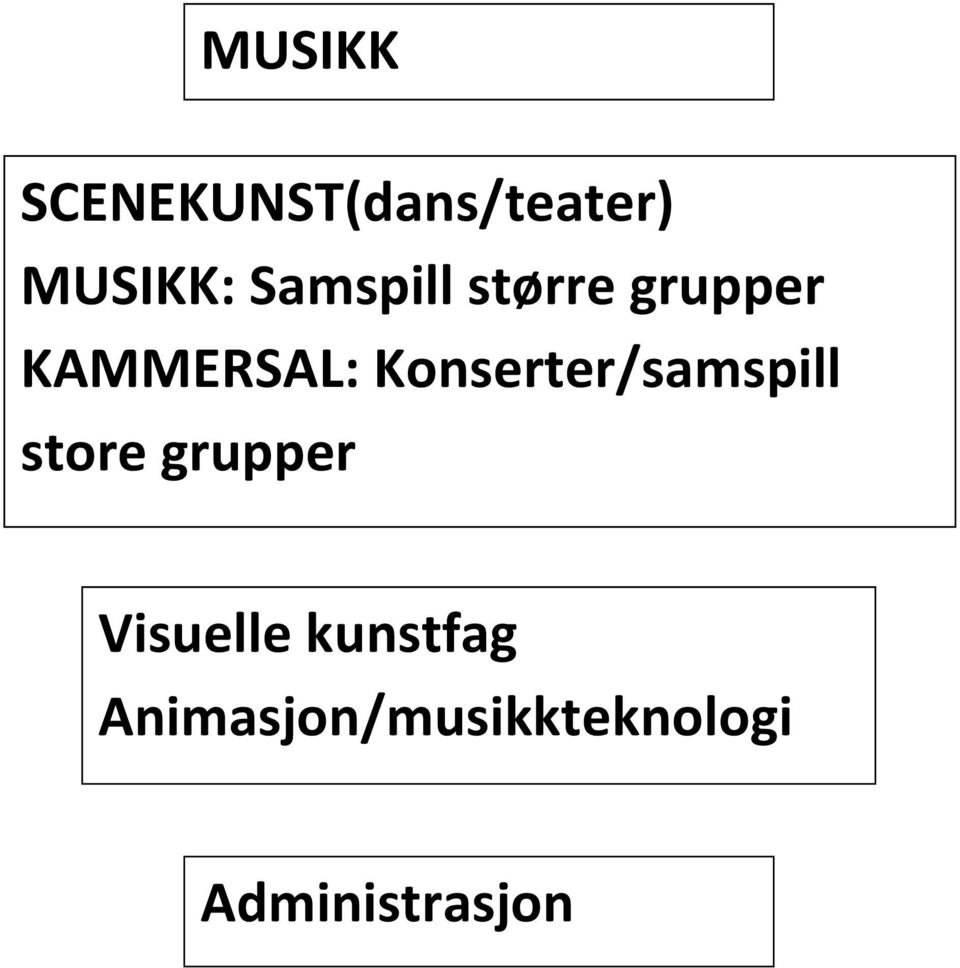 Konserter/samspill store grupper Visuelle