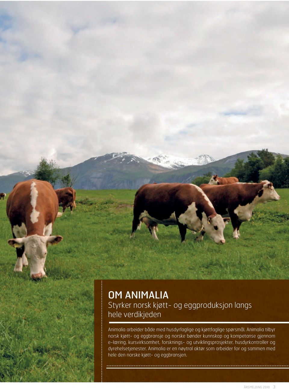 Animalia tilbyr norsk kjøtt- og eggbransje og norske bønder kunnskap og kompetanse gjennom e-læring,