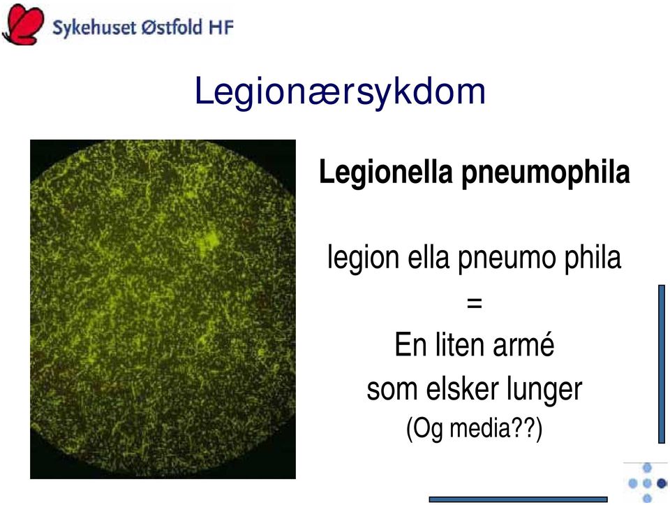 pneumo phila = En liten