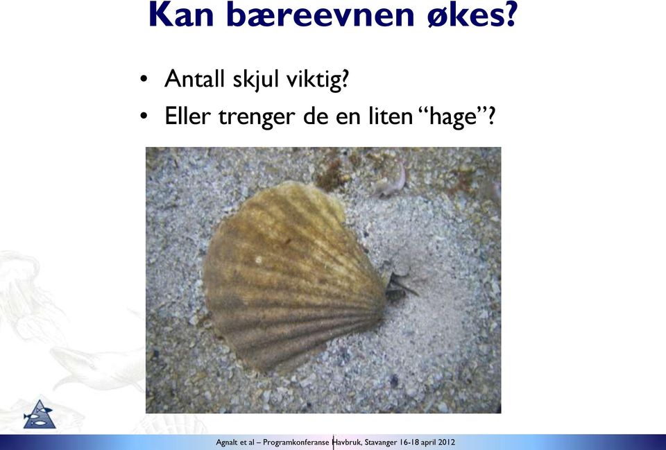 skjul viktig?