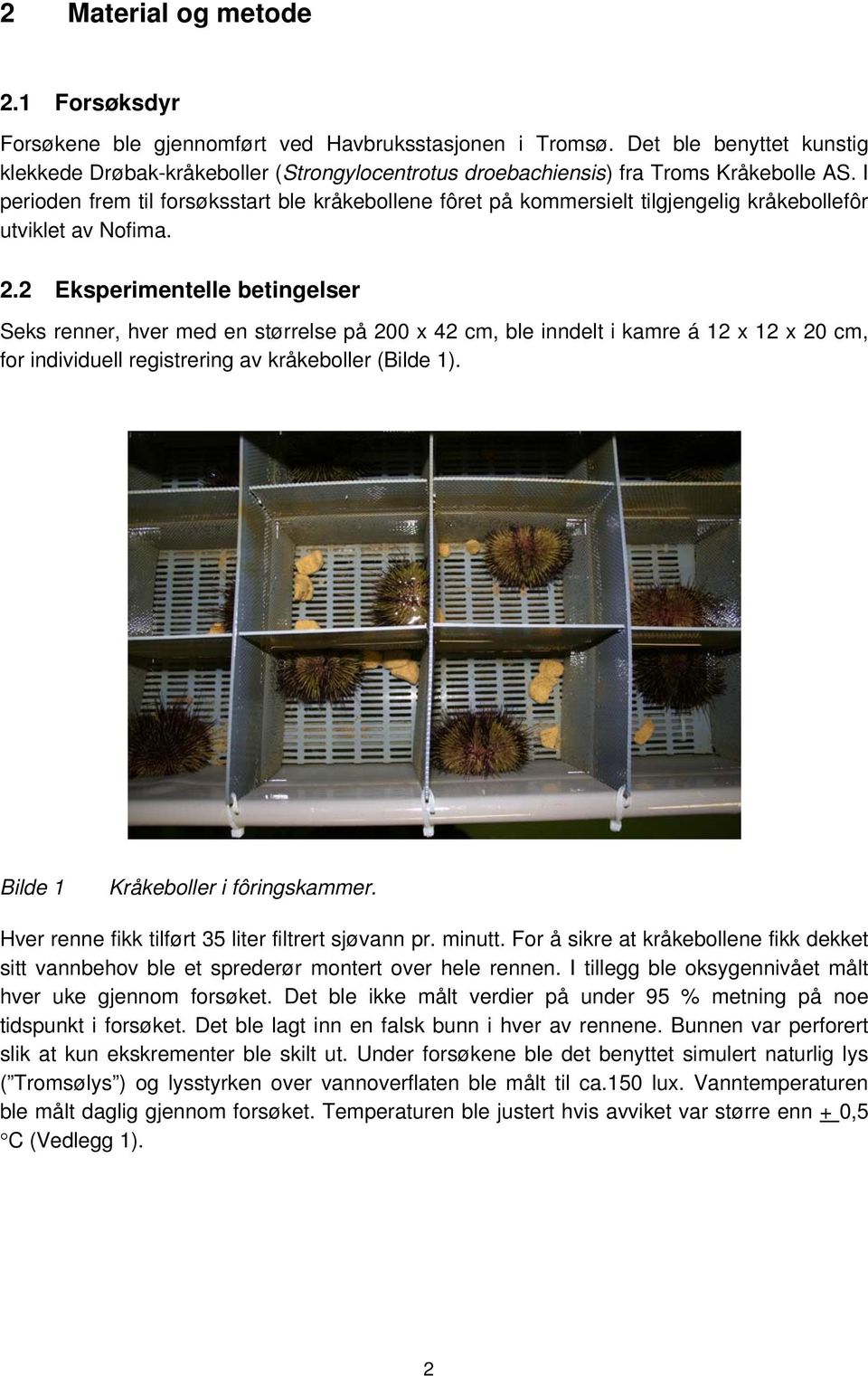 I perioden frem til forsøksstart ble kråkebollene fôret på kommersielt tilgjengelig kråkebollefôr utviklet av Nofima. 2.