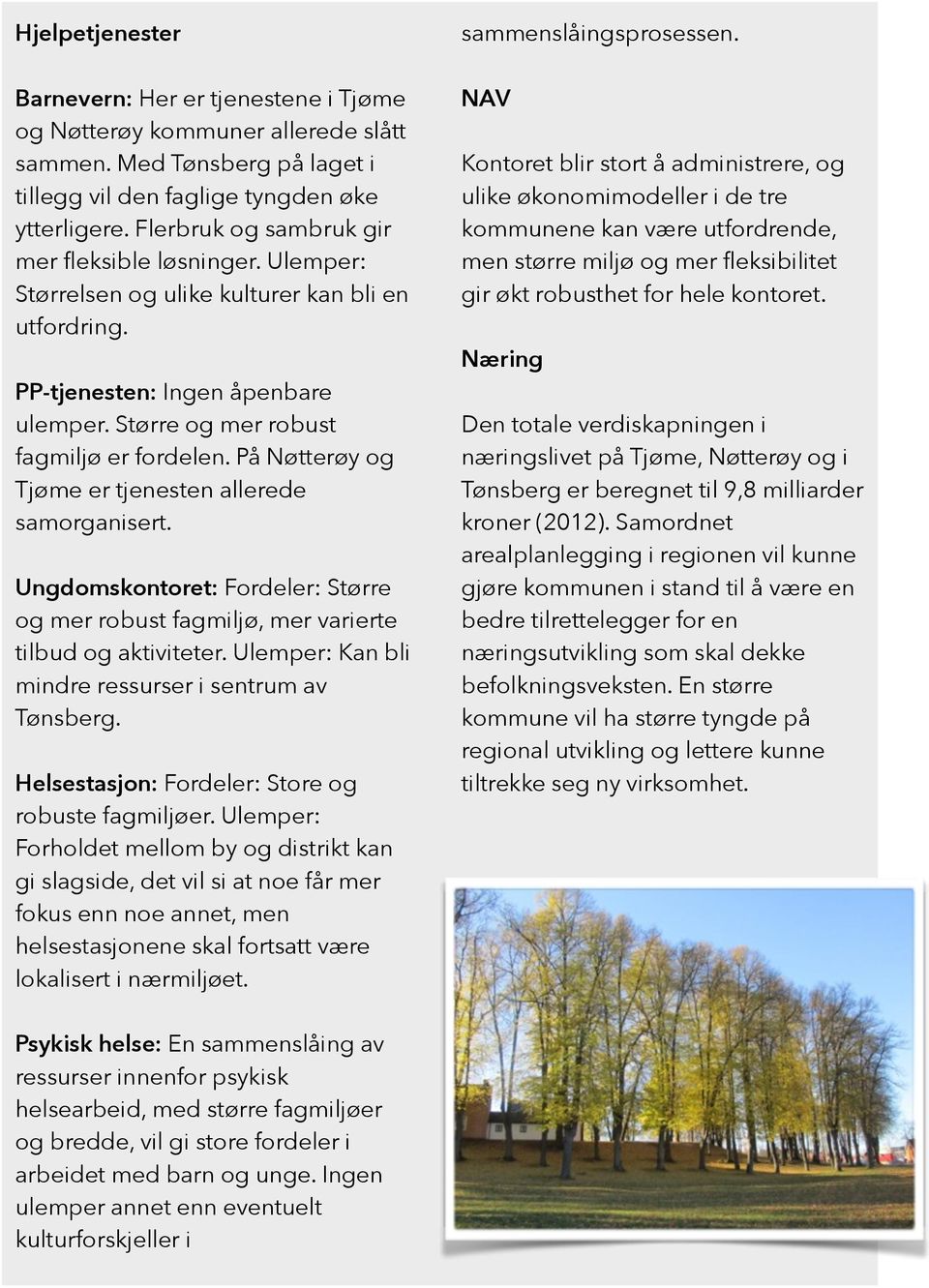 På Nøtterøy og Tjøme er tjenesten allerede samorganisert. Ungdomskontoret: Fordeler: Større og mer robust fagmiljø, mer varierte tilbud og aktiviteter.