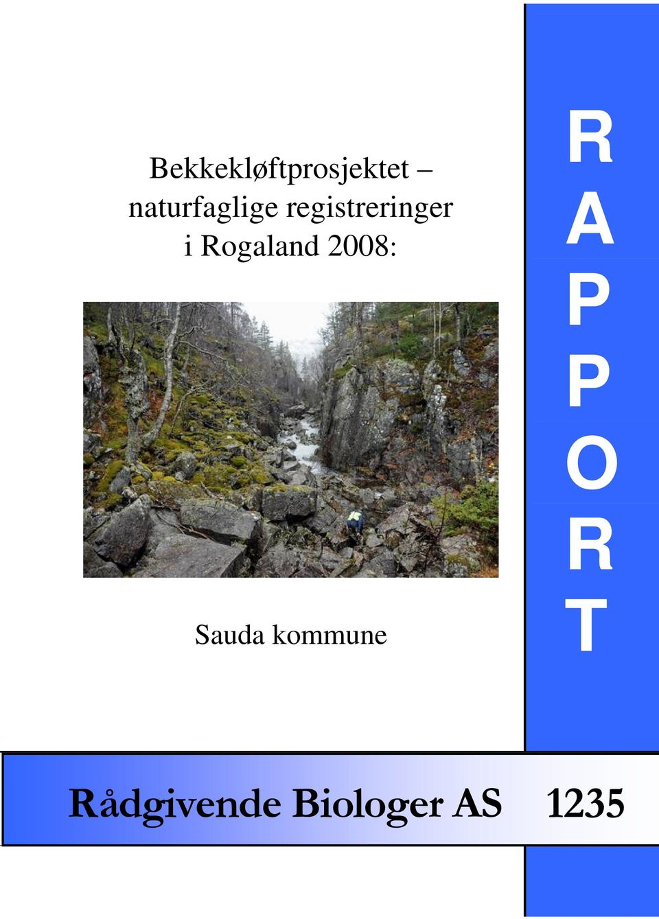 Rogaland 2008: R A P P O R