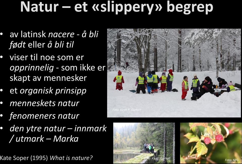 menneskets natur fenomeners natur den ytre natur innmark / utmark Marka Foto: